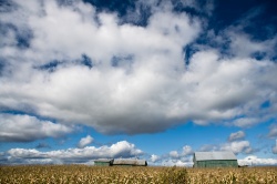 Rural Plains