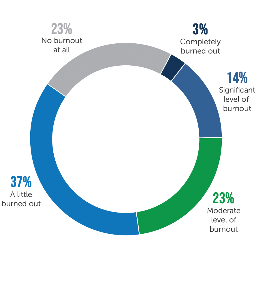 Level of Burnout